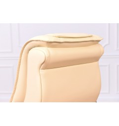 Poltrone classiche in pelle presidenziale beige retro schienale
