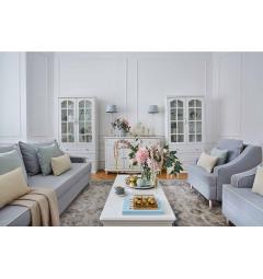 soggiorno provenzale moderno con divani, vetrine e tavolino