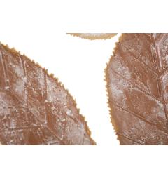 dettaglio foglia pannello autunno in ferro