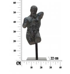 misure scultura busto maschile