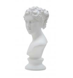muzzo busto donna romana