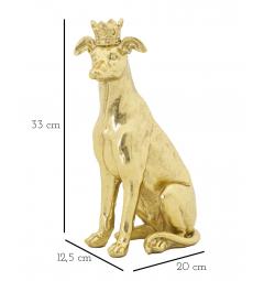 misure cane con corona oro