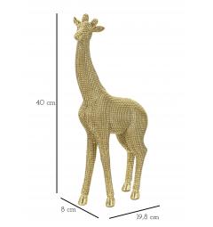 misure giraffa