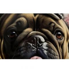 Dipinto su tela Cane bulldog con aria sicura e catena d'oro - Arrediorg