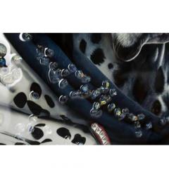 Dipinto su tela cane dalmata con felpa e occhiali da sole - Arrediorg