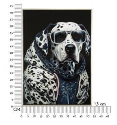 Dipinto su tela cane dalmata con felpa e occhiali da sole - Arrediorg