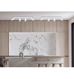 Plafoniera bianco con piastra rettangolare a soffitto 4 punti luce